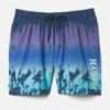 Essential Phantom Punta Arenas Volley Boardshort 17"