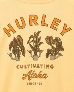 Everyday Cultivate T-Shirt -HURLEY Sales mts0034000 btr sauce 3